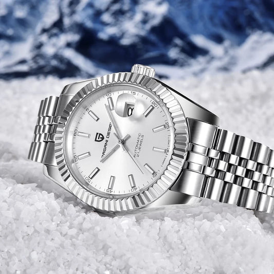 PAGANI DESIGN  Steel Mechanical Sapphire Glass Calendar Men's Watch